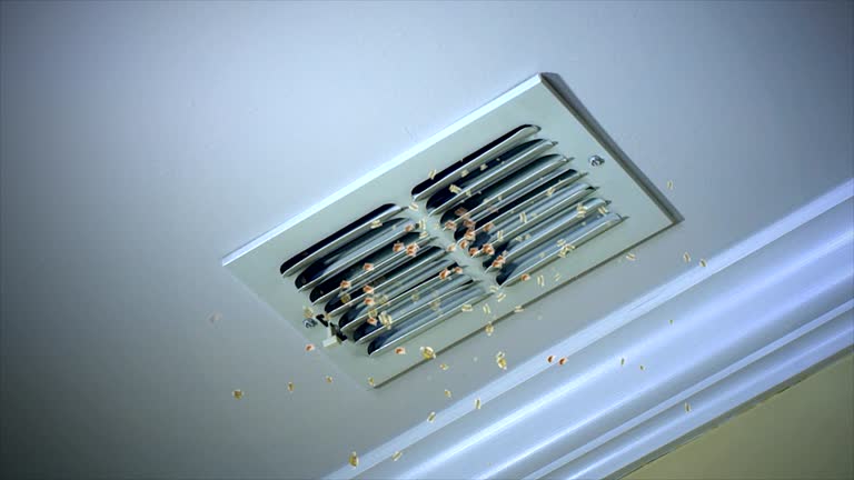 Best Professional Duct Cleaning Services  in Rossville, GA