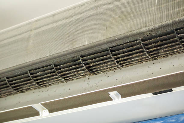 Best Dryer Vent Cleaning Services  in Rossville, GA